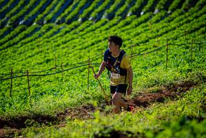 BIB: 
                            <button type="button" onclick="openModal(19160585)" class="btn btn-primary btn-sm float-right btn-popup" data-toggle="modal" data-target=".modal-high-quality">
                        <i class="fas fa-shopping-cart"></i> Add to Cart
                    </button>
                                            <button type="button" onclick="isThisMe(19160585, true)" class="btn btn-success btn-sm float-right btn-popup btn-isme hidden" data-toggle="tooltip" data-placement="bottom" title="นี่คือรูปของคุณใช่ไหม คลิกที่นี่เพื่อเอาเข้าอัลบั้ม">
                        <i class="fas fa-plus"></i> Add to album
                    </button>
                    <button type="button" onclick="isThisMe(19160585, false)" class="btn btn-warning btn-sm float-right btn-popup btn-isnotme hidden">
                        <i class="fas fa-ban"></i> Remove from album
                    </button>